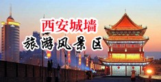 鸡巴插逼网站中国陕西-西安城墙旅游风景区